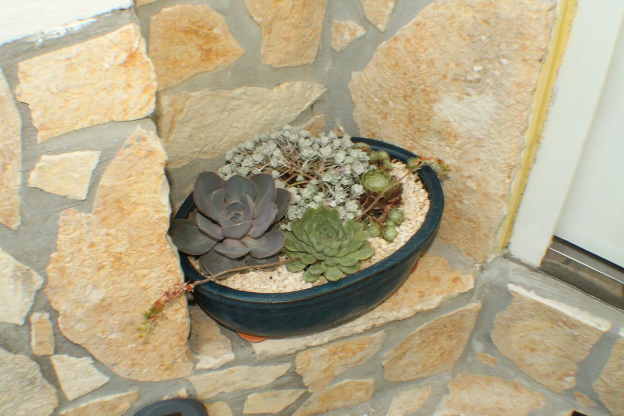 Apartmán Amorino